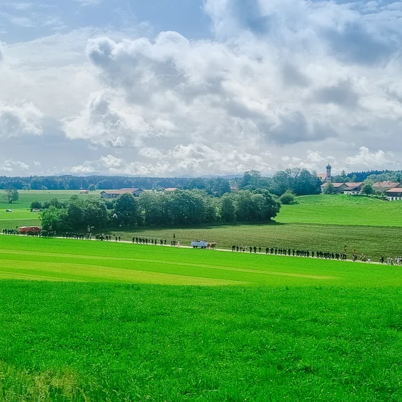 fotografie-constance-gruber_1005_Original (priv. Nutzung) _19702dc7_.jpg